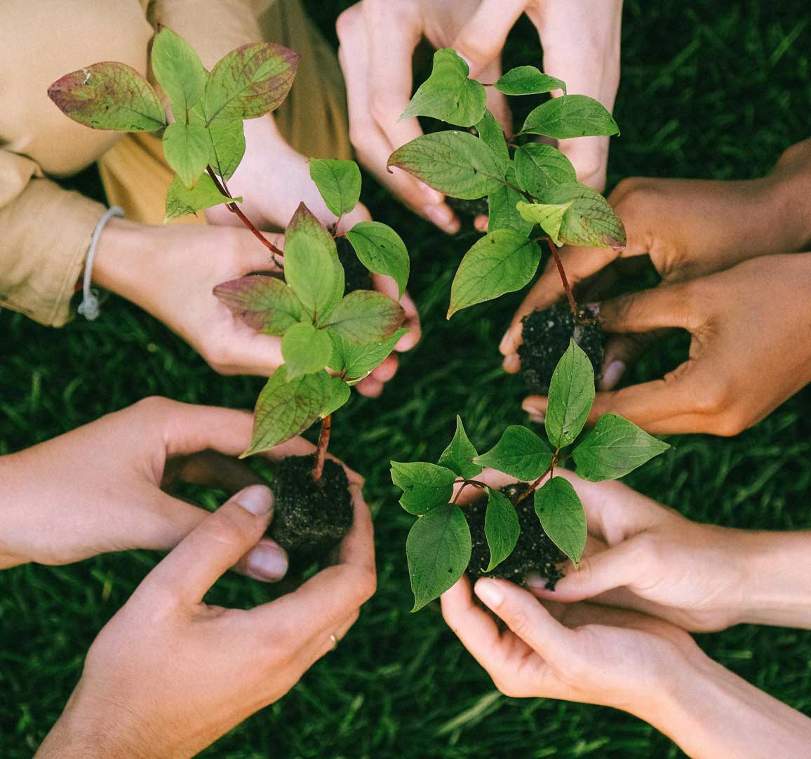 https://borneo7s.com/wp-content/uploads/2026/02/tree-planting.jpg